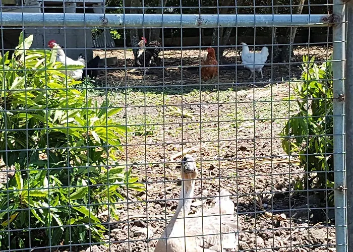 Casa Marques 3* アングラ・ド・エロイーズモ