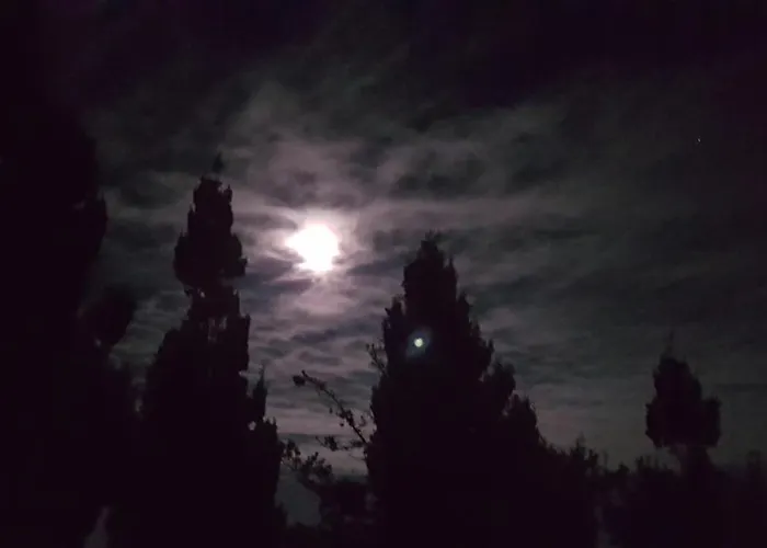 Casa Marques ベッド・アンド・ブレックファスト